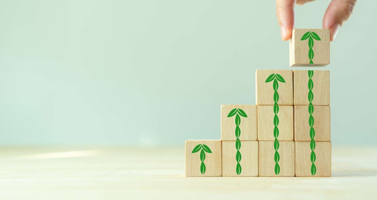 Os Princípios de Investimento para Iniciantes